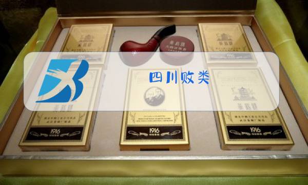 四川败类 原唱下载图片